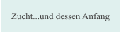Zucht...und dessen Anfang